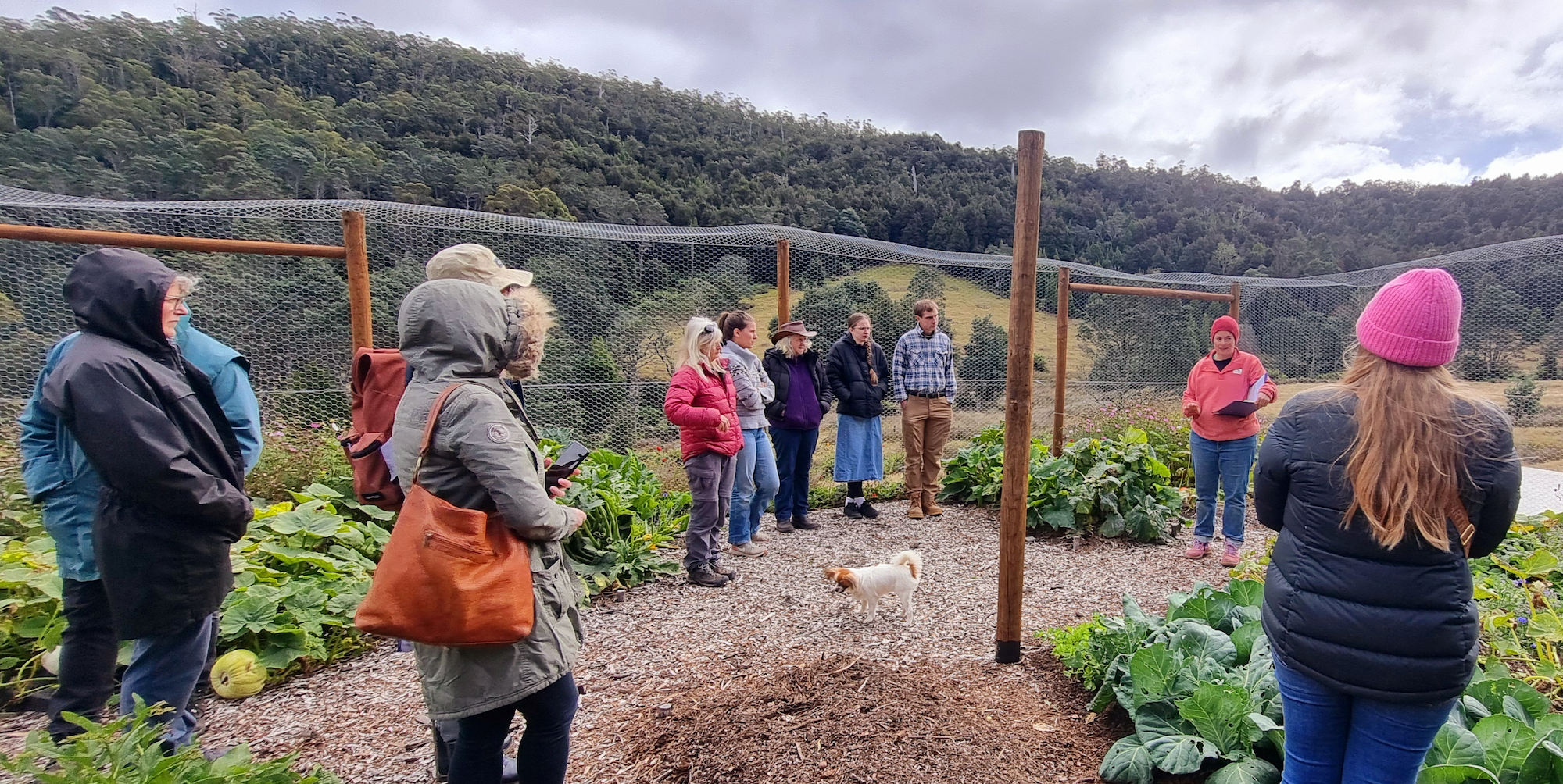 Hidden Valley Garden Design