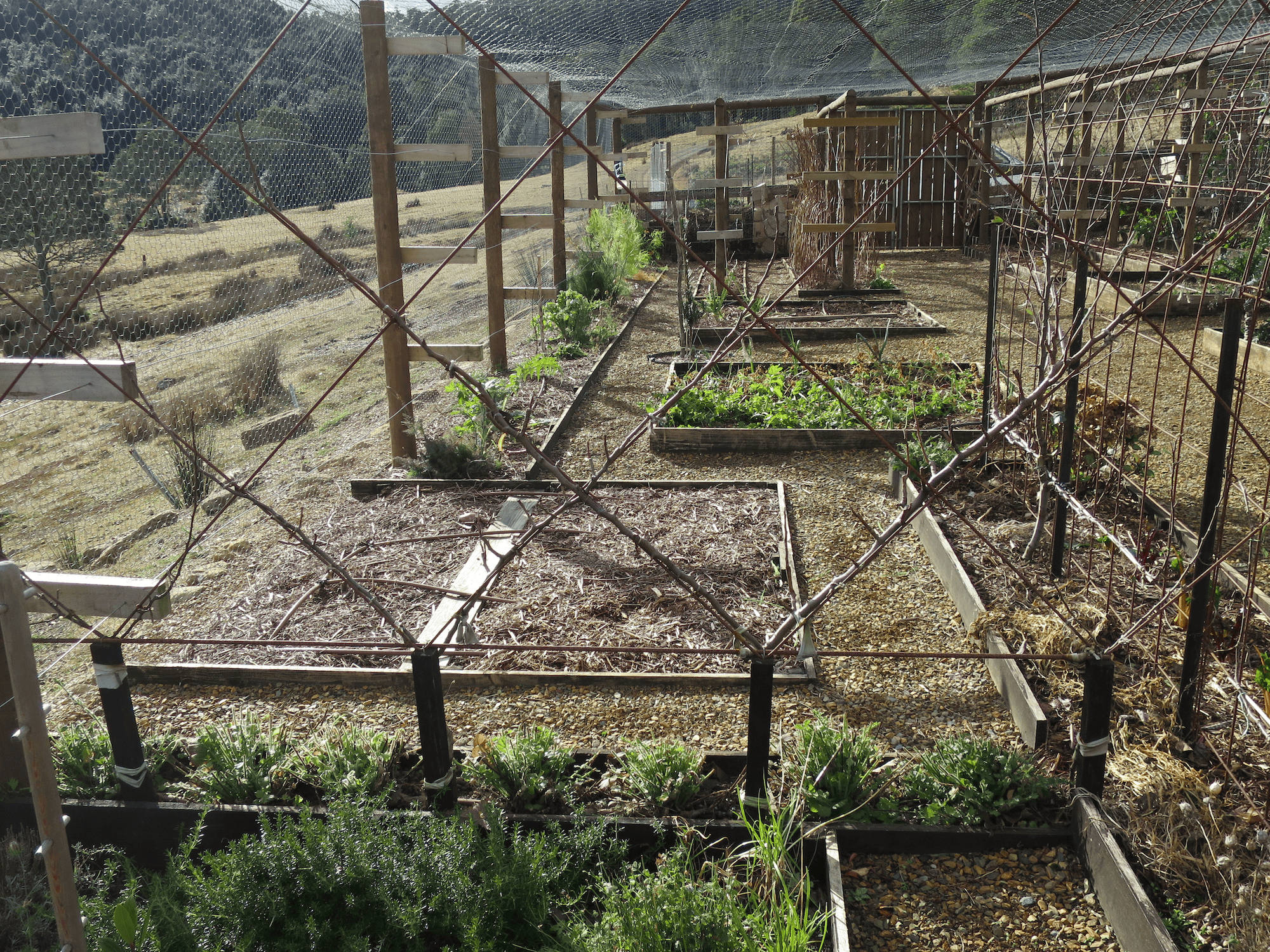 Hidden Valley Garden Design